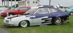PINTO_LEFT_SIDE.JPG