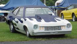 PINTO_RIGHT_FRONT.JPG